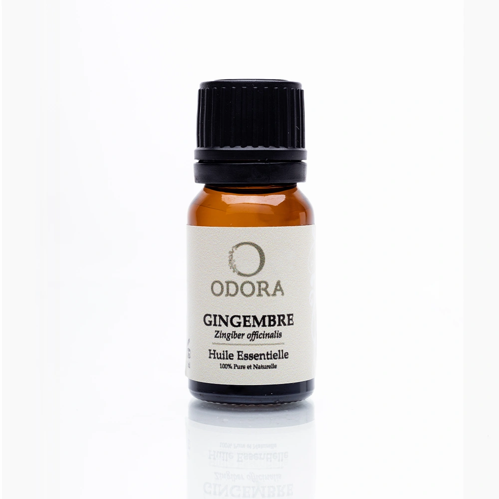 Huile Essentielle GINGEMBRE